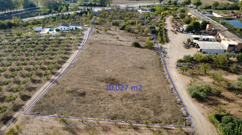 Peça de terra rústica de 10.027 m2 de superfície total situat al terme de Les Borges Blanques (25400)., immagine 3