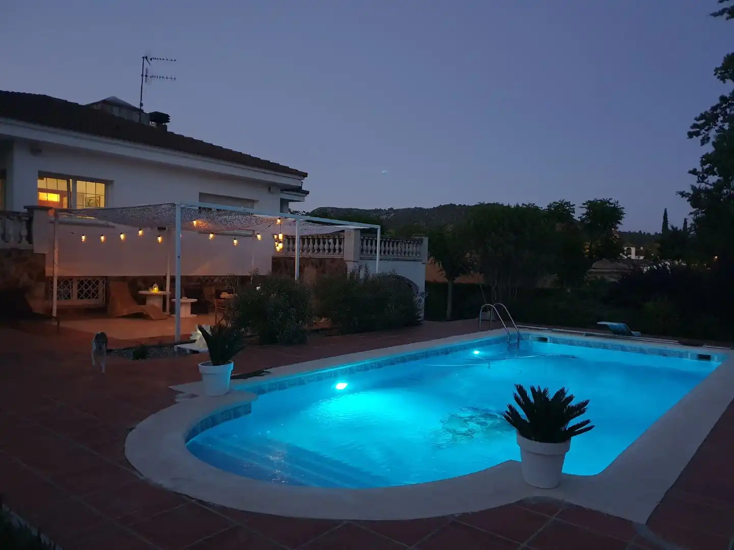Piscina de Casa o chalet en venta en Olèrdola con Aire acondicionado, Terraza y Piscina