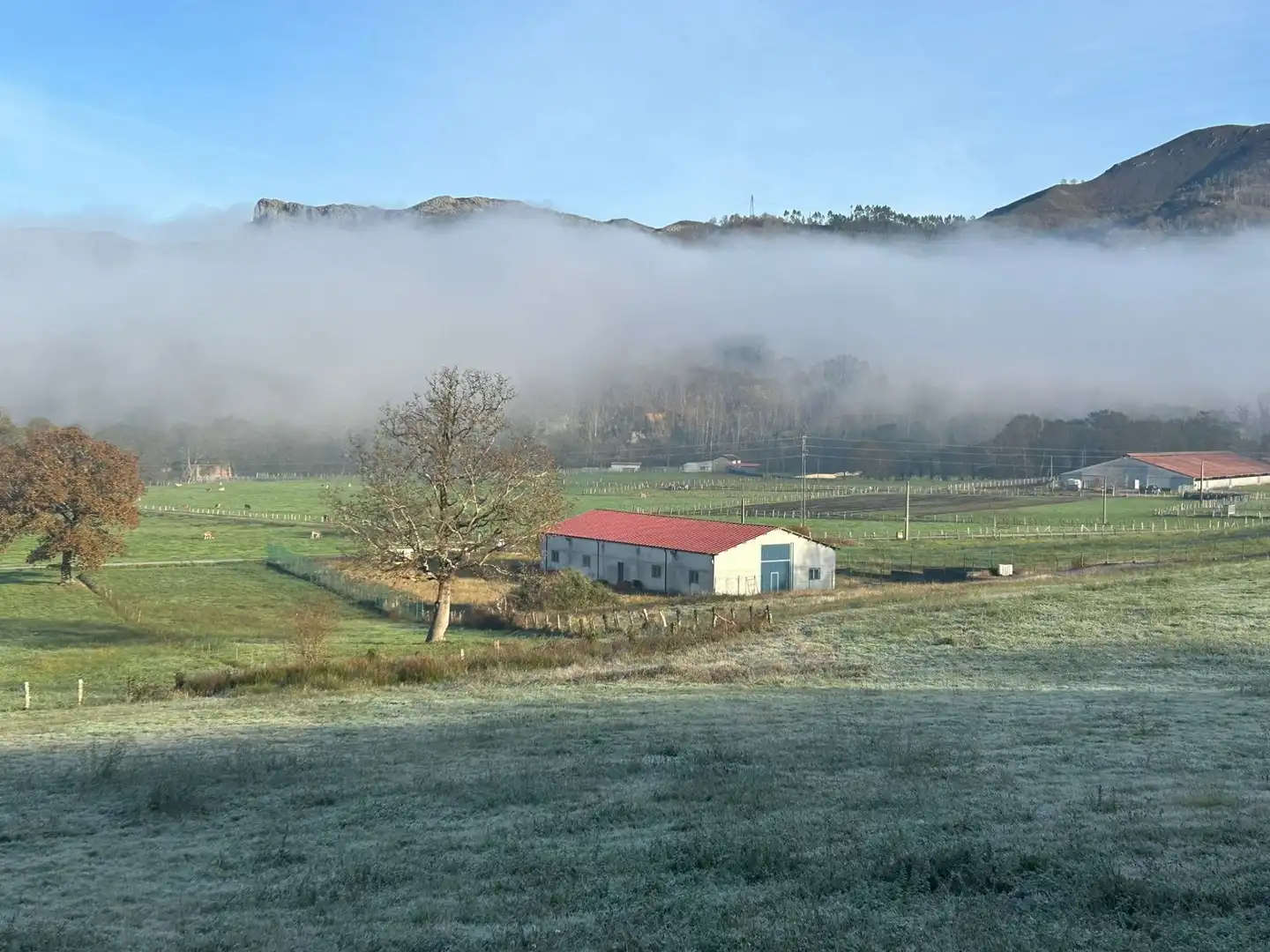 Vista exterior de Nave industrial en venta en Cangas de Onís