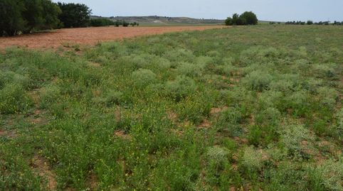 Este terreno se encuentra en Paraje, Aldehuela, 16400, Tarancón, Cuenca. Es un terreno que tiene 9295 m2 .



Inmobiliaria Teó, immagine 4
