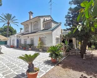 Vista exterior de Casa o xalet en venda en Elche / Elx amb Jardí privat