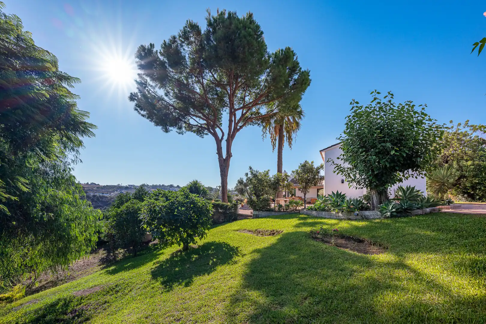 Haus mit Terrasse zum Verkauf in San Pedro de Alcántara, imagen 53