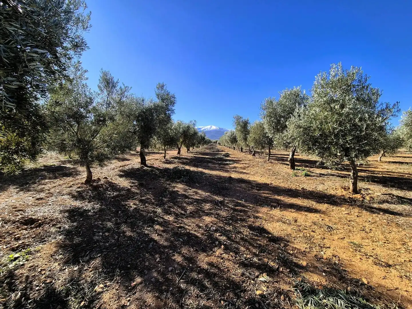 Terreno rústico en venta en Lanteira, imagen 60