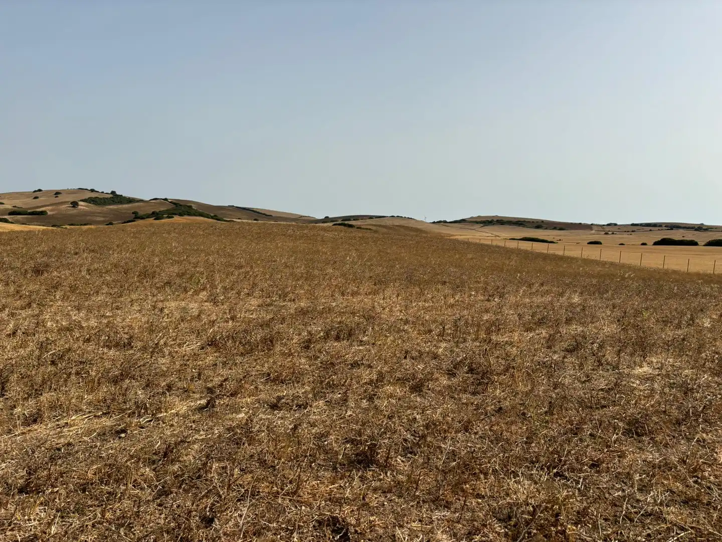 Terreni e lotti in vendita a Lugar el Berrueco, imagen 16