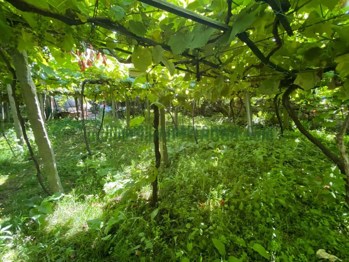 Finca rústica en venta en San Xoán de Poio