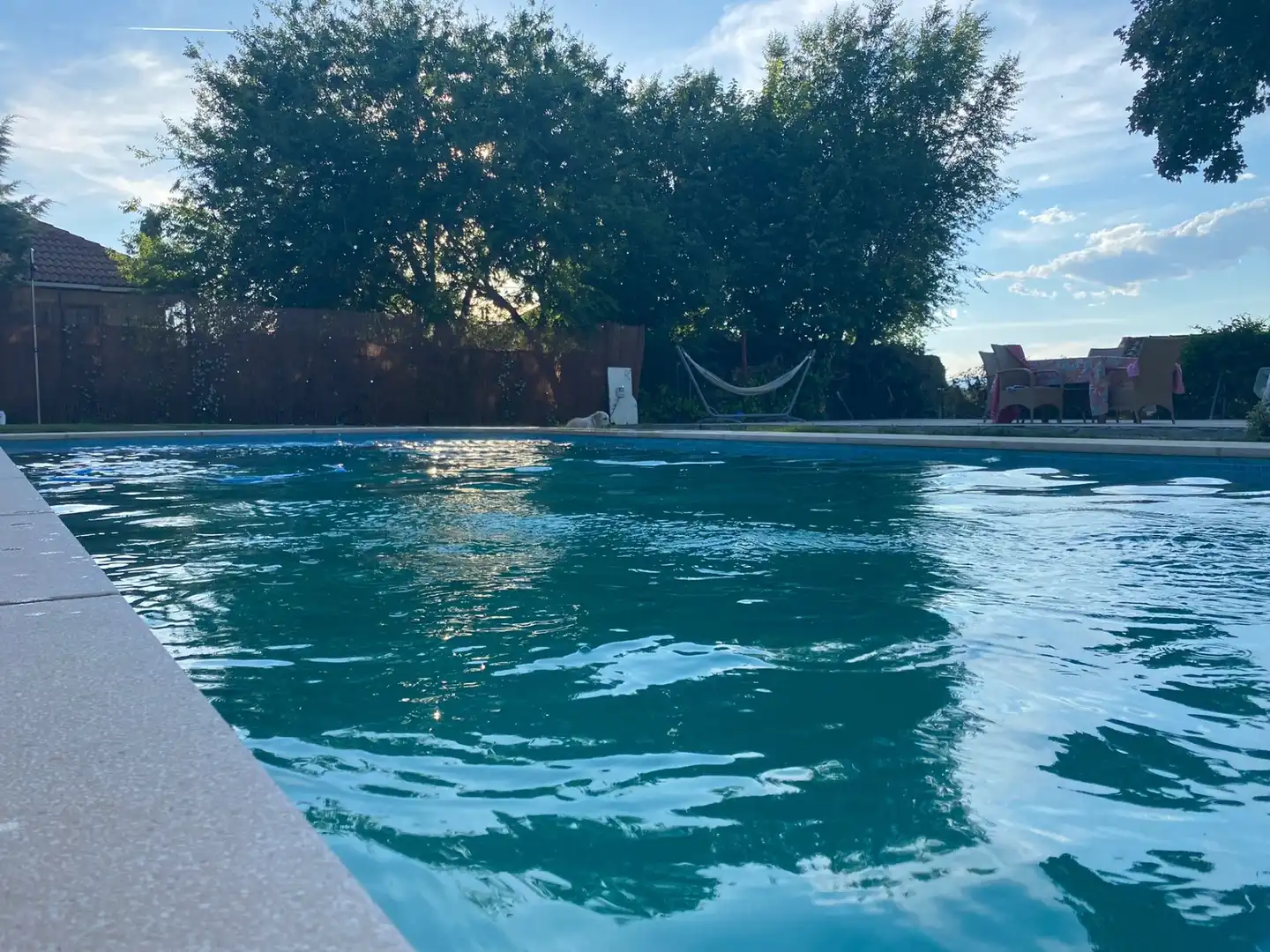 Piscina de Casa o chalet en venta en Algete con Aire acondicionado, Calefacción y Jardín privado
