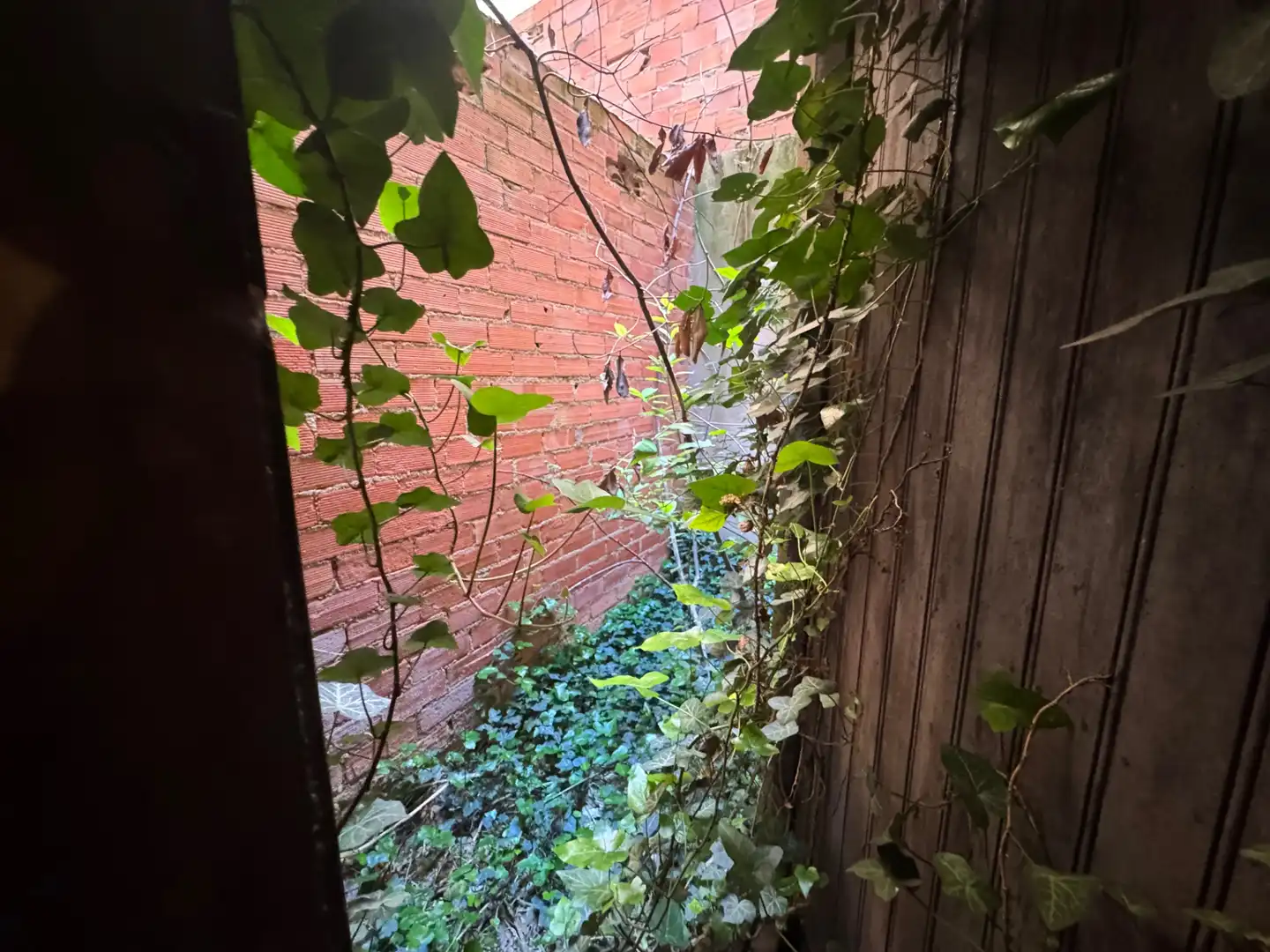 Maison jumelée à vendre à Calle Carmen 5, imagen 3