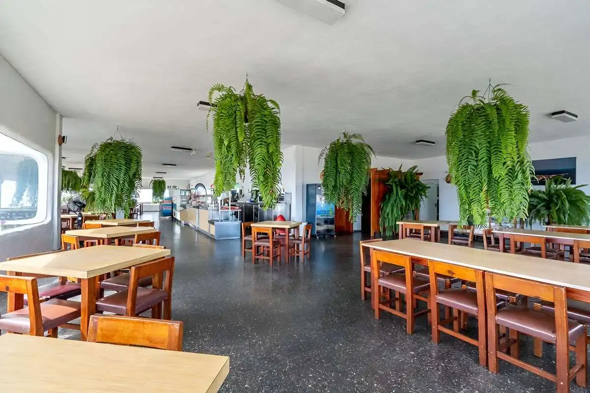 Commercial properties for sale in Haría  with Furnished