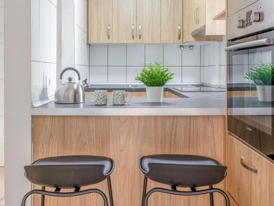 Wohnung mit Garten zum Verkauf in Boston 4