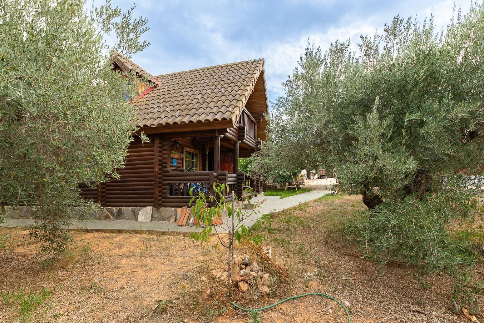 Exterior view of House or chalet for sale in Cheste  with Private garden