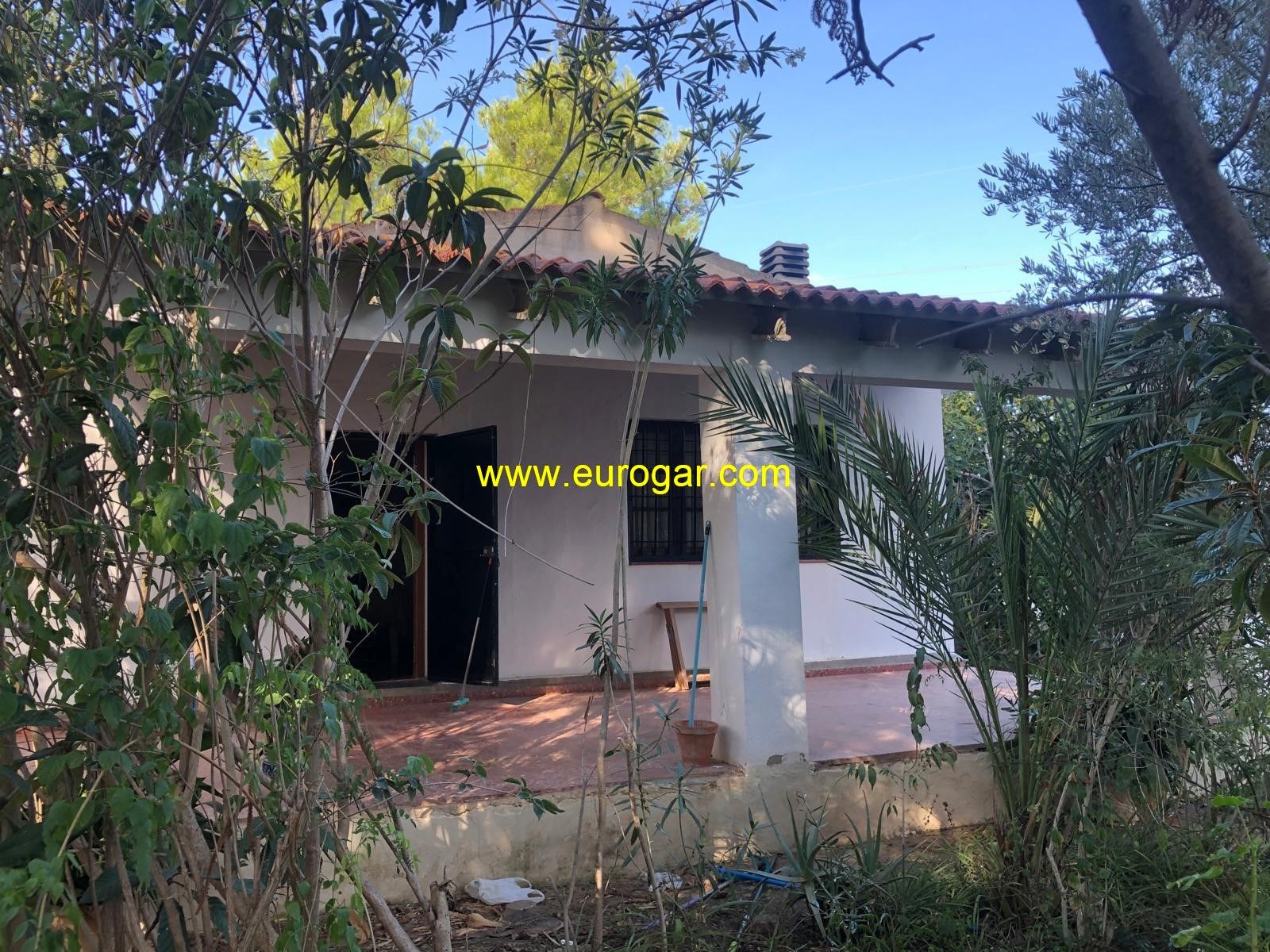 Garden of House or chalet for sale in Chiva  with Storage room