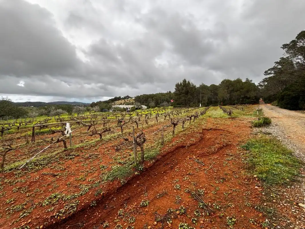 Land for sale in Sant Joan de Labritja