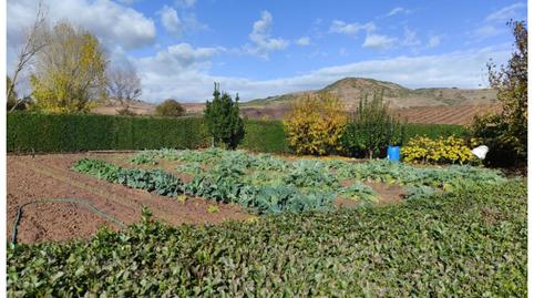 Foto 5 de Finca rústica en venta en Hormilla, La Rioja