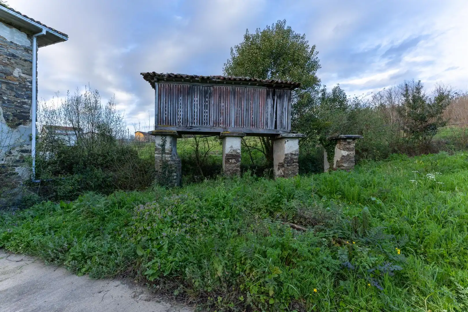 Finca rústica en venta en Pontedeume