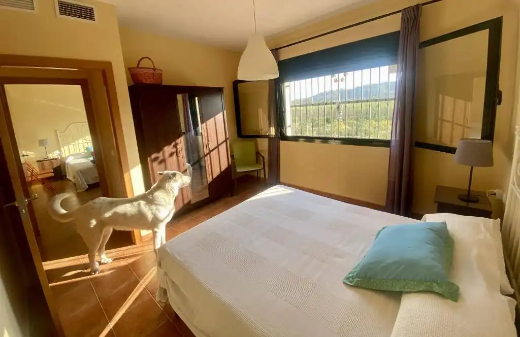 Villa mit Terrasse zum Verkauf in Partida de Vilella, imagen 22