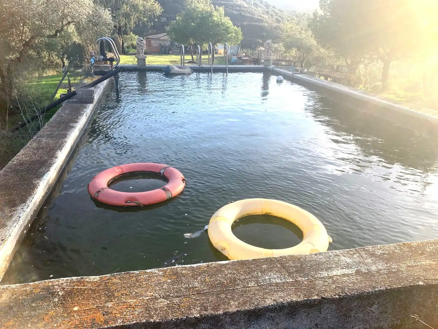 Piscina de Finca rústica en venda en Sedella amb Jardí privat, Terrassa i Traster