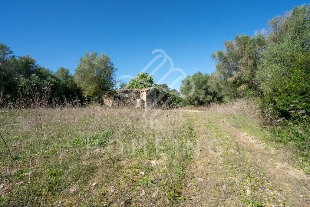 Country house with garden for sale in Costitx, imagen 30