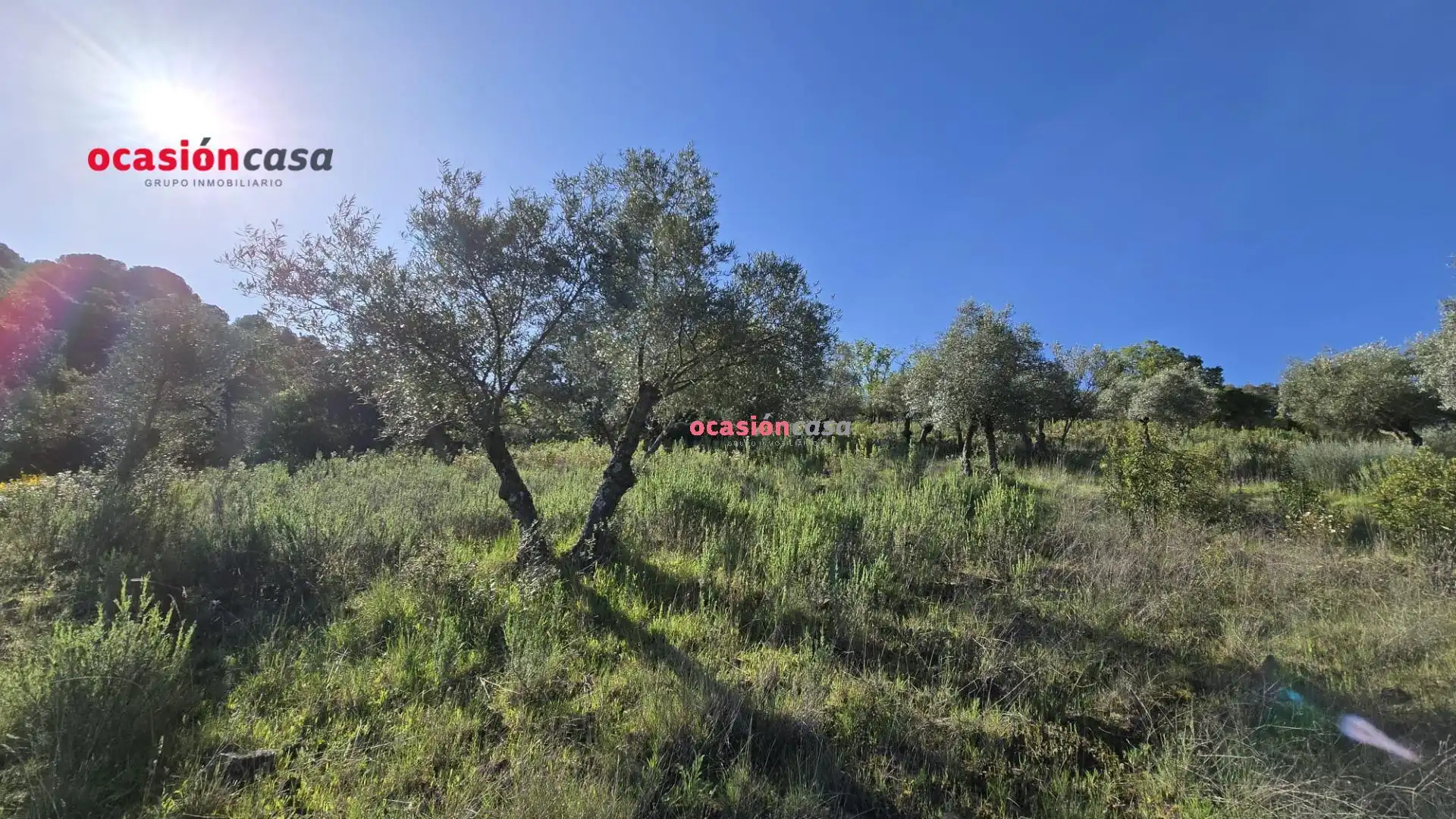 Casa o chalet en venta en Pozoblanco con Jardín privado, Terraza y Trastero