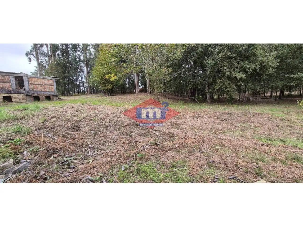 Terreny en venda en O Pino 