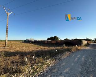 Land for sale in Vejer de la Frontera