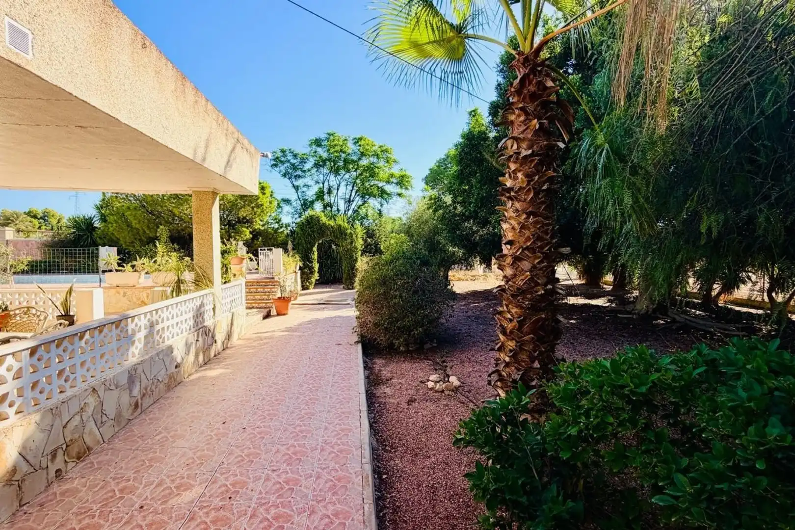 Vista exterior de Casa o chalet en venta en Crevillent, Alicante
