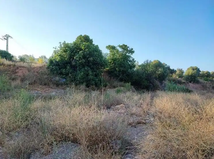 Terrain rustique à vendre à Partida Carrases, imagen 6