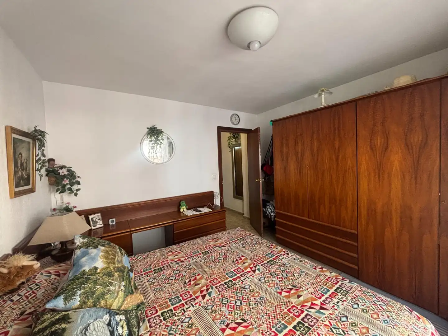 Piso en venta en Pla - Carolinas, imagen 2