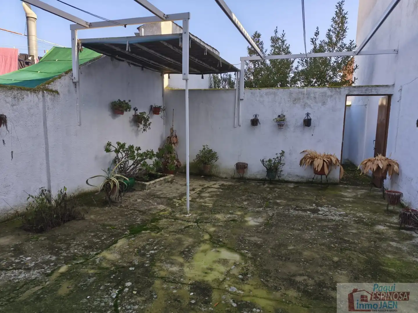 Jardín de Casa o chalet en venta en Villardompardo