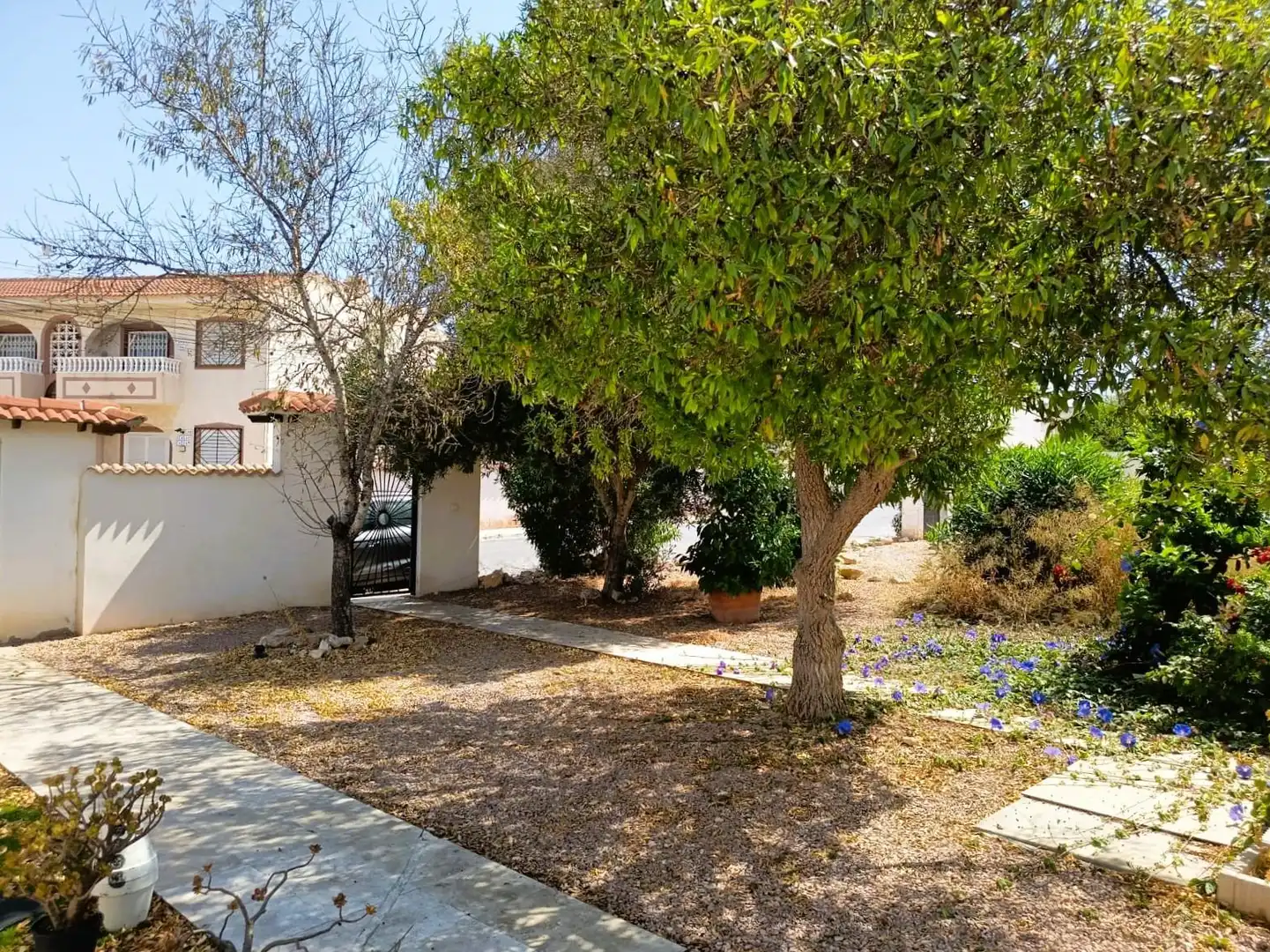 Vista exterior de Casa o chalet en venta en Torrevieja con Aire acondicionado, Calefacción y Amueblado