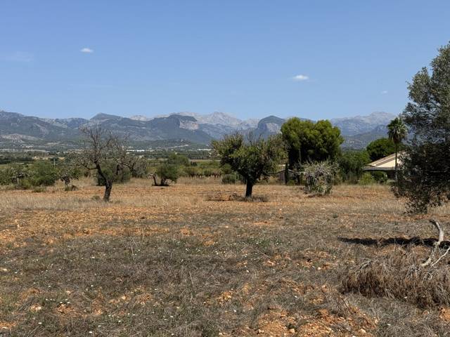 Terreno residencial en Venta en Santa Eugènia