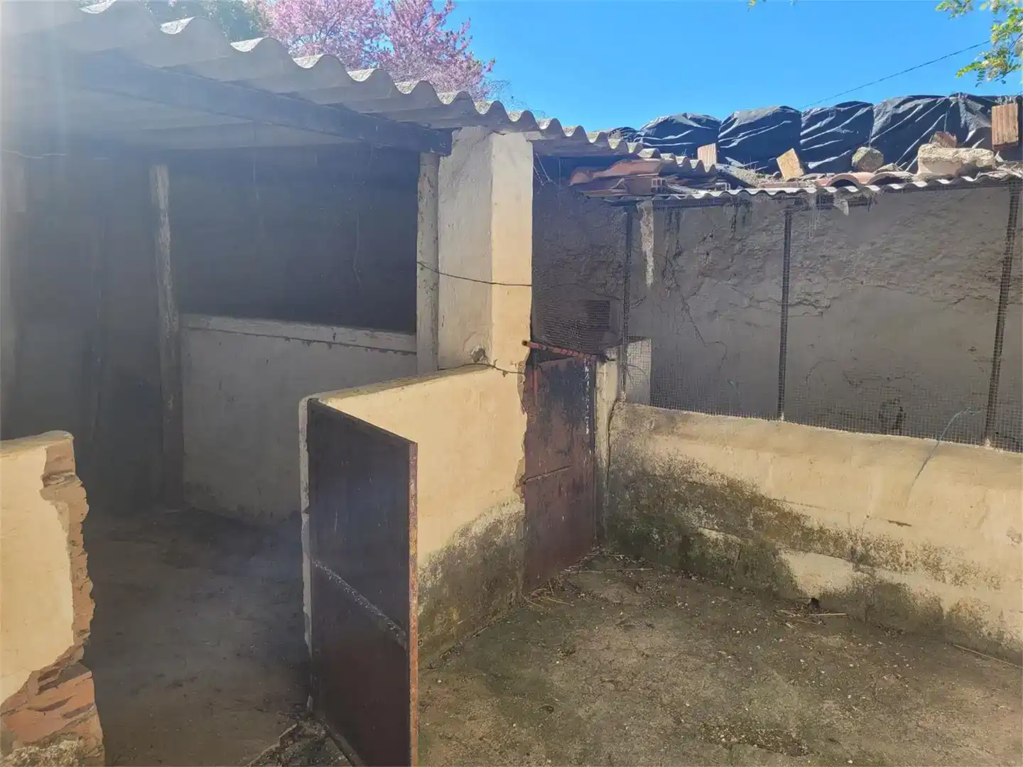 Vista exterior de Finca rústica en venda en Ronda amb Piscina