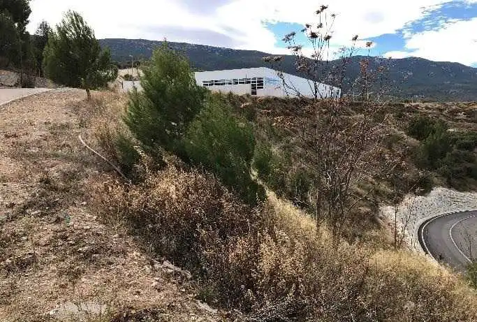 Terreny rústic en venda a C/ Fila Andaluces Reg. Paraje Sembenet, imagen 6
