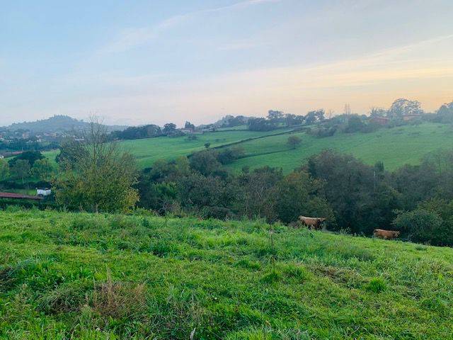 Terreno residencial en Venta en La Pedrera