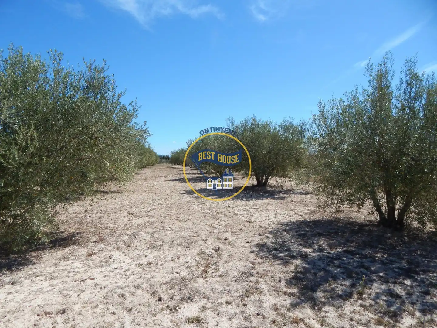 Residencial en venda en Agullent
