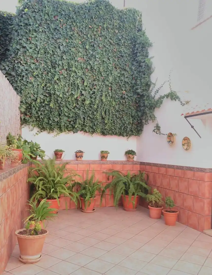 Jardí de Finca rústica en venda en Antequera amb Jardí privat