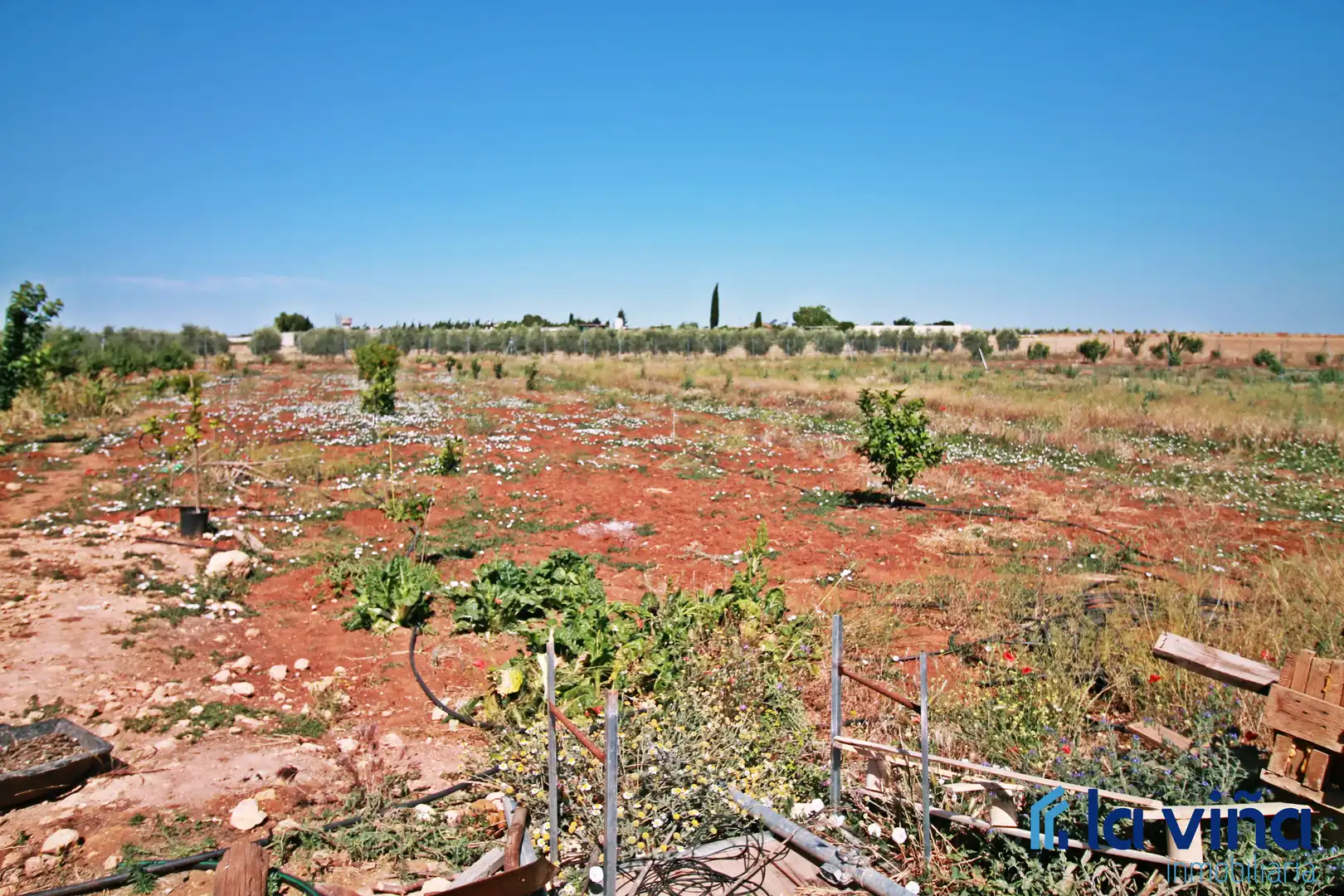 Rural land for sale in Mollina