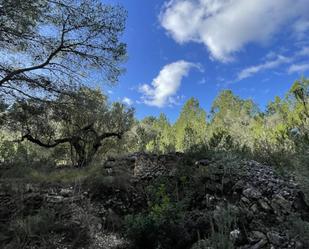 Residencial en venda en L'Ametlla de Mar 