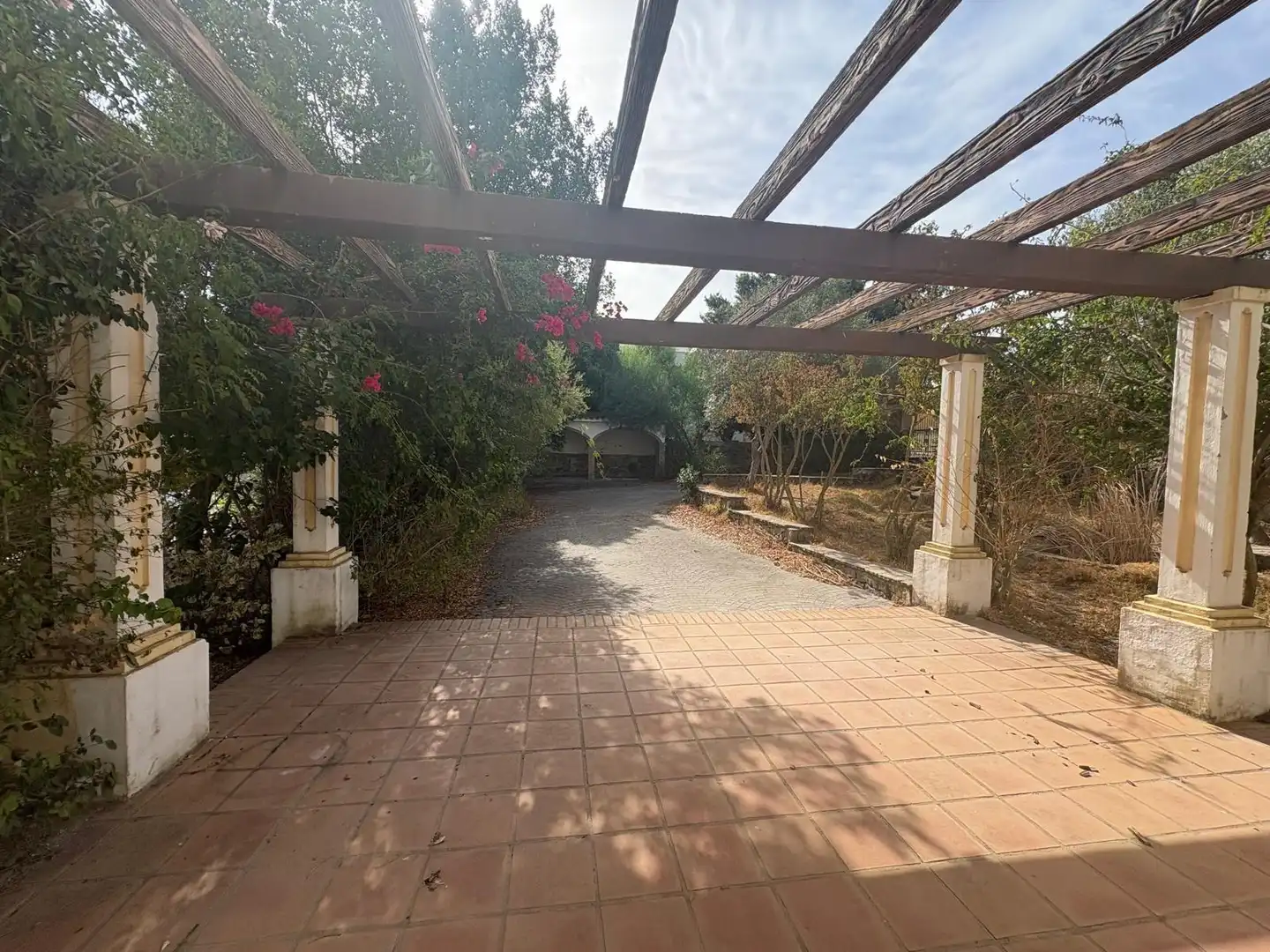 Jardín de Casa o chalet en venta en Benalup-Casas Viejas con Jardín privado, Trastero y Piscina
