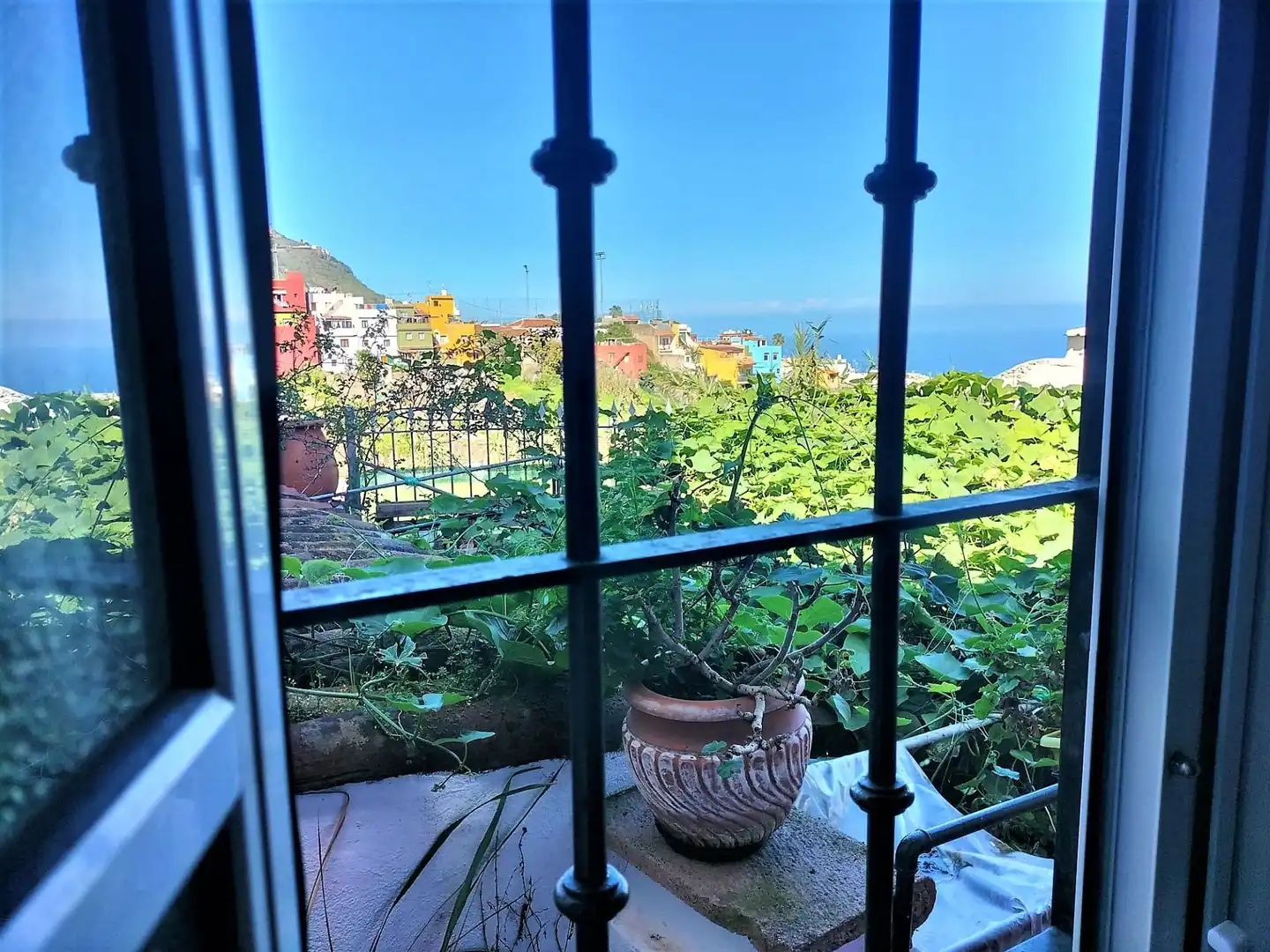 Jardín de Casa o chalet en venta en Los Realejos con Jardín privado y Trastero