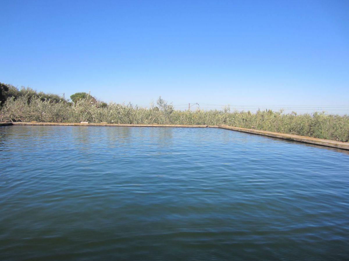 Swimming pool of Country house for sale in La Selva del Camp