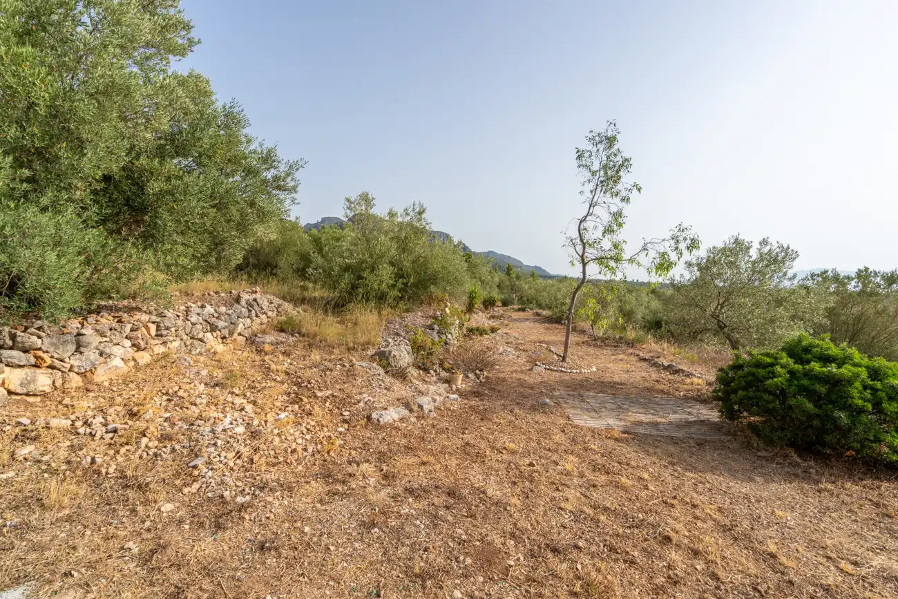 Land for sale in Roquetes