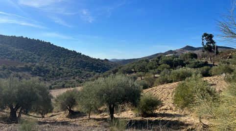 Foto 3 de Terreno en venta en Calle Diseminados, Almogía, Málaga
