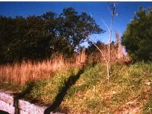 Lands and plots for sale in Moncloa - Aravaca, imagen 2