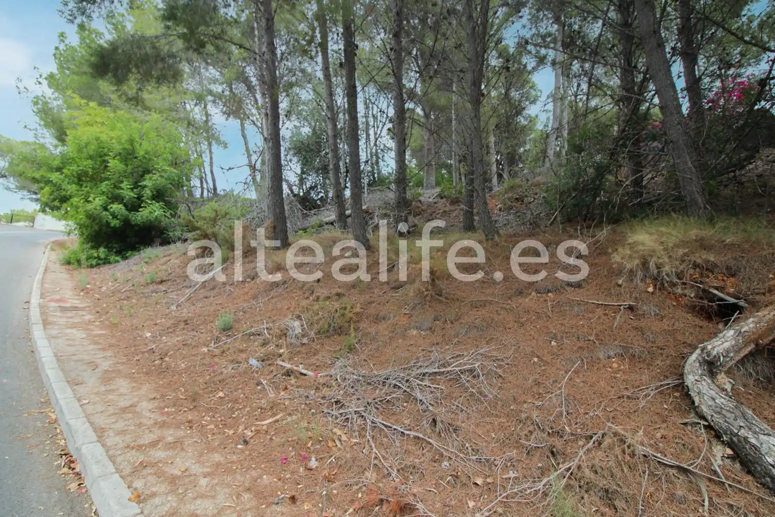 Terreny residencial en venda a Carrer Figuera, imagen 4