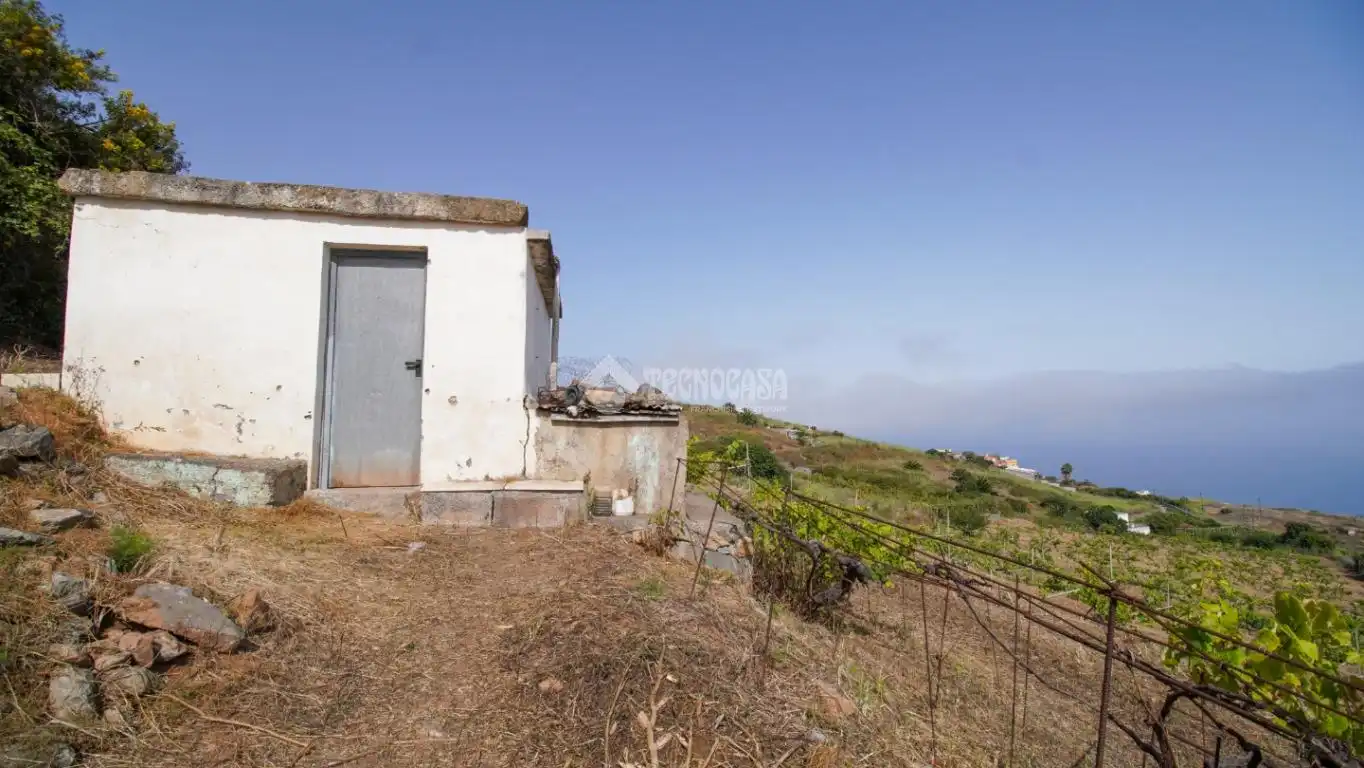 Finca rústica en venta en El Sauzal