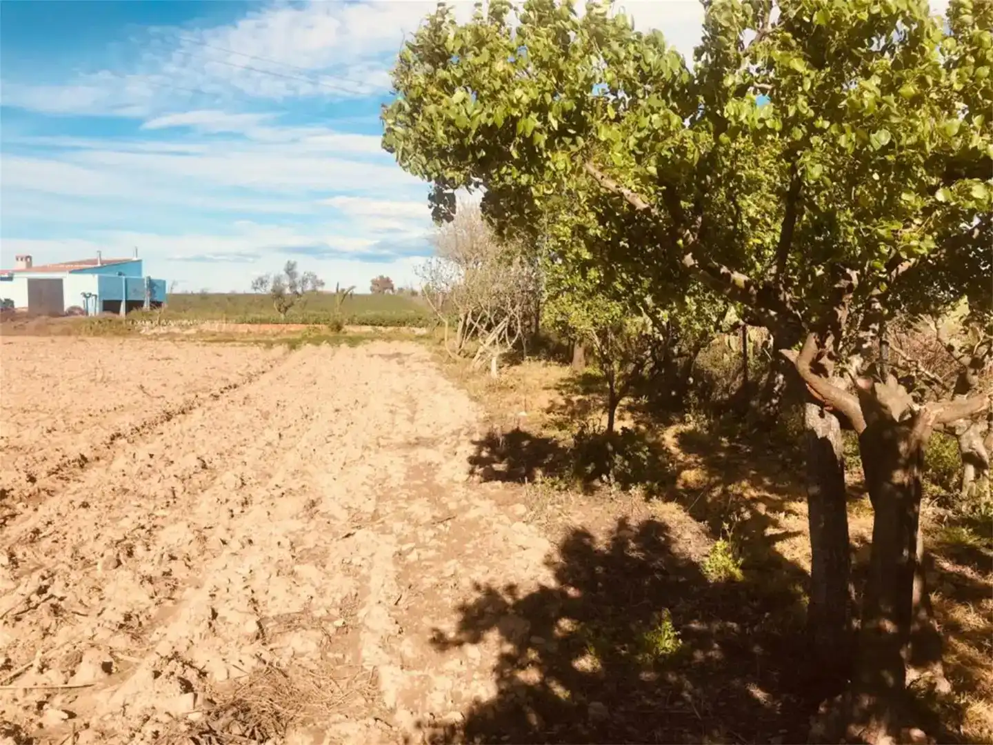 Land for sale in Moraleja