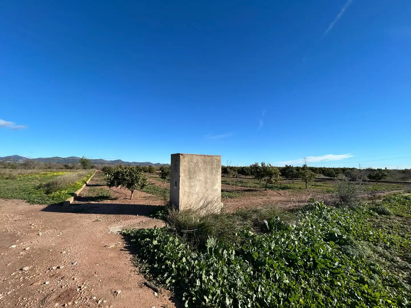 Terreno rustico in vendita a Los Pinares - La Masia, imagen 4