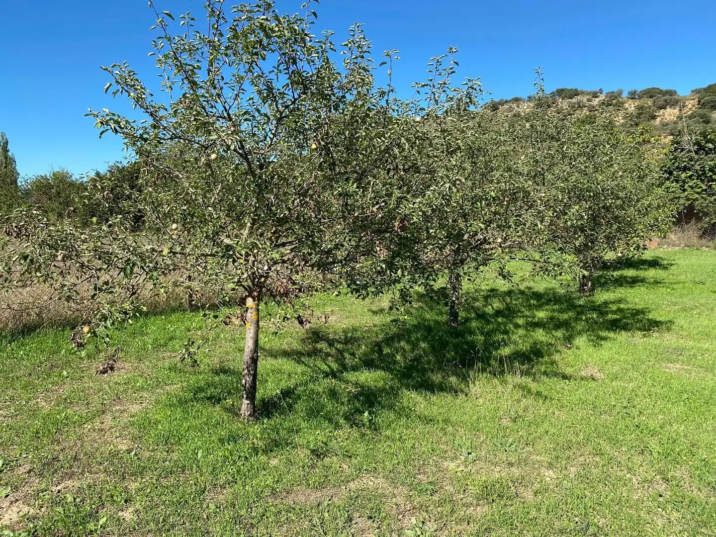 Terreno en venta en Escopete