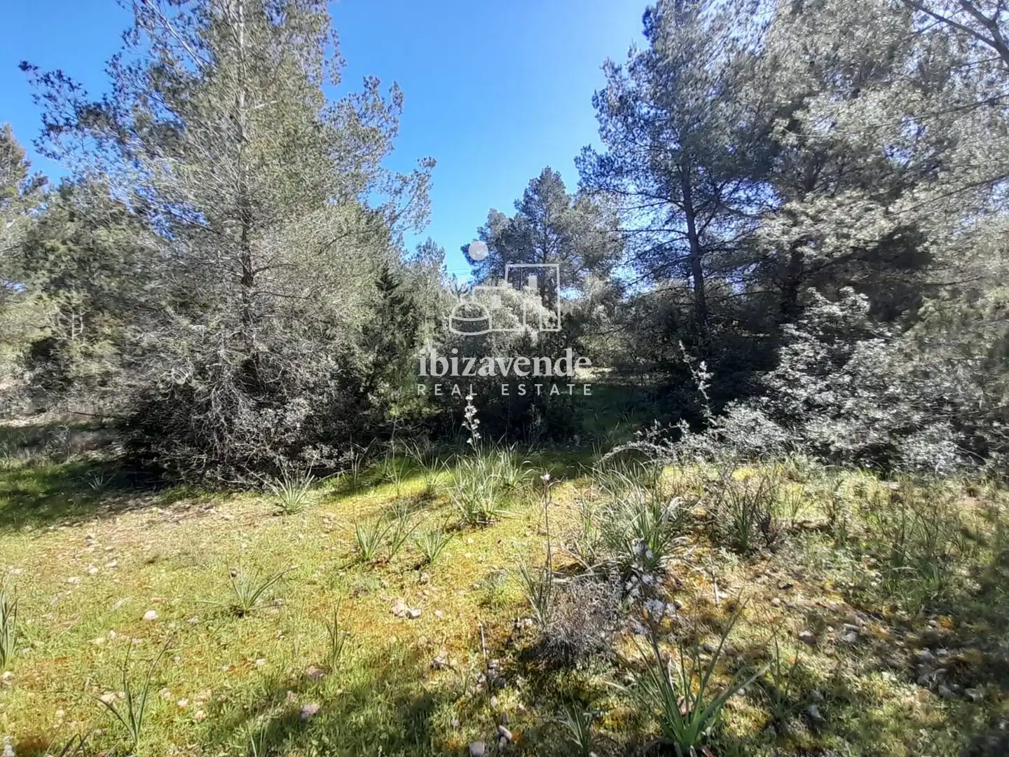 Terreny rústic en venda a es Pujolet, imagen 5