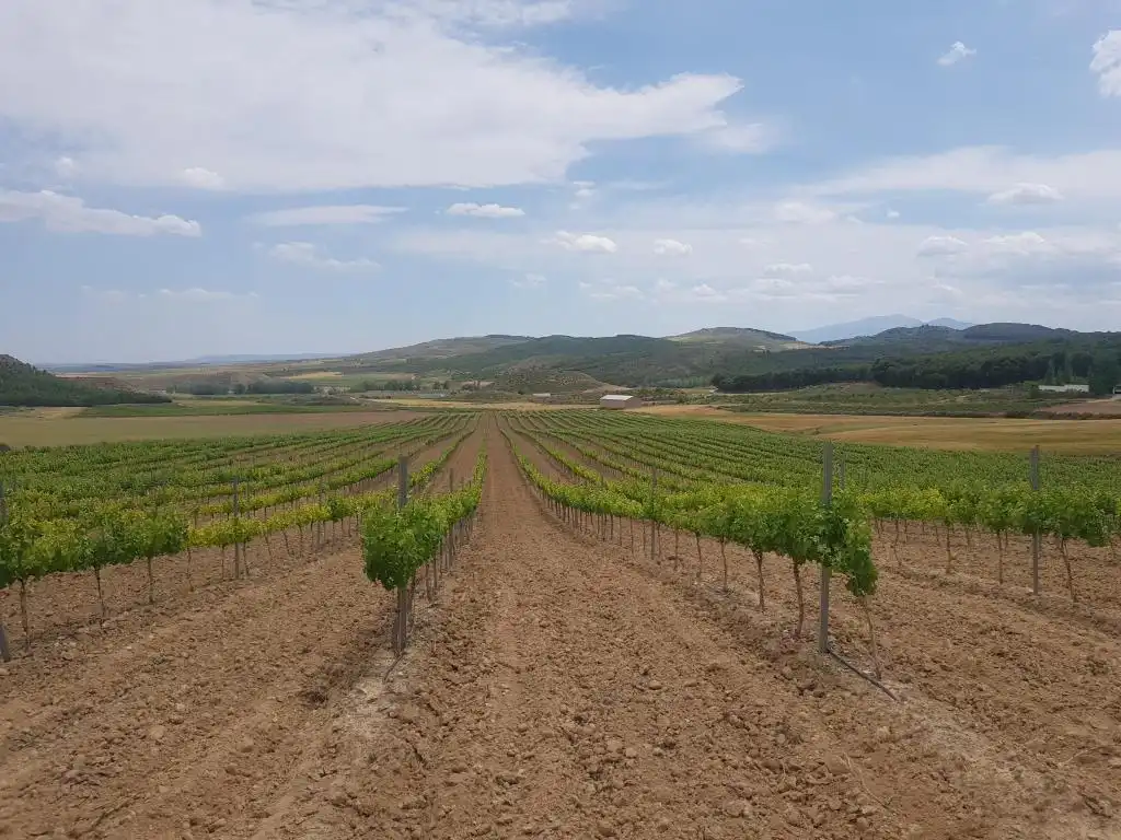 Rural land for sale in c/ palancona, imagen 5